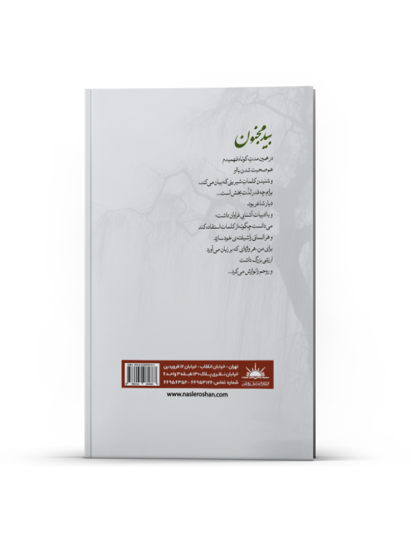 بید مجنون - Image 3